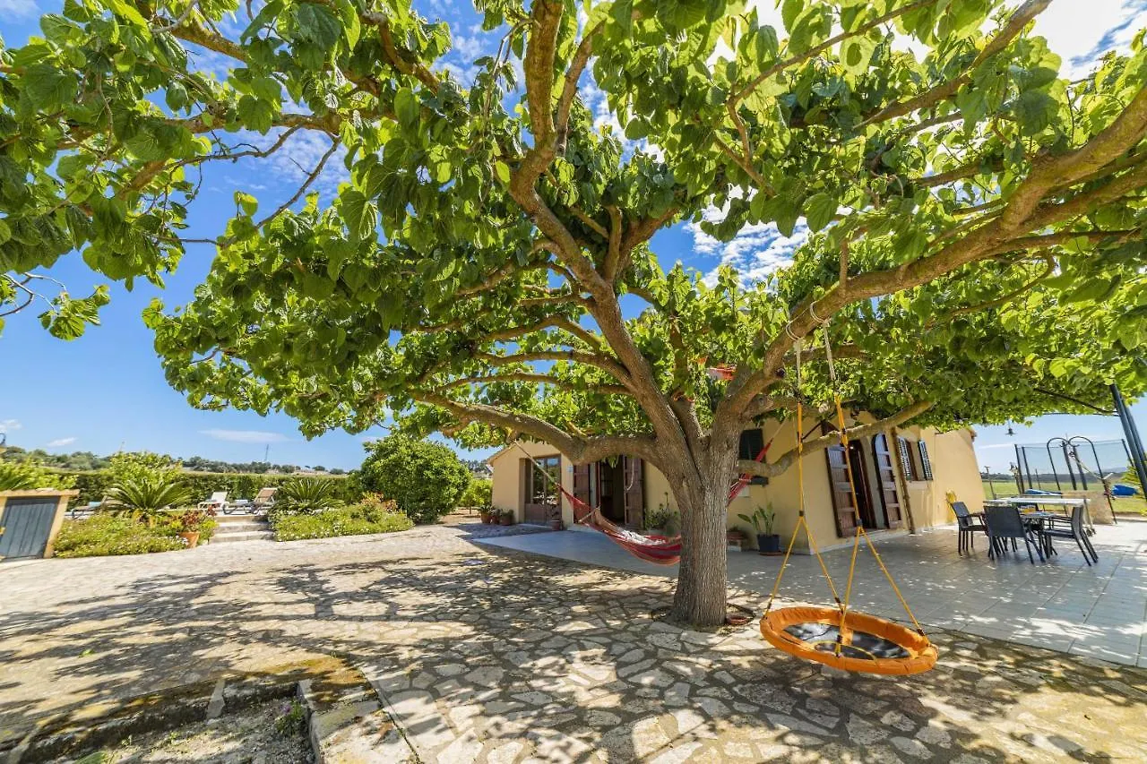 Villa Vernissa Santa Margalida 0*,